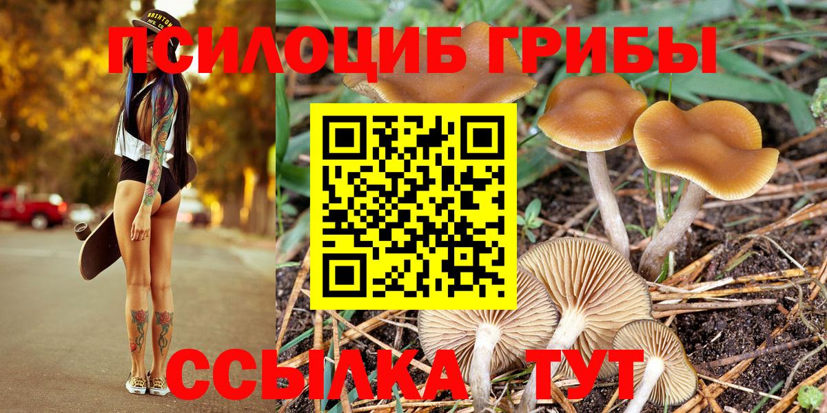 Псилоцибиновые грибы MAGIC MUSHROOMS  Галлюциногенные грибы MAGIC MUSHROOMS  Вход с VPN  Норильск 